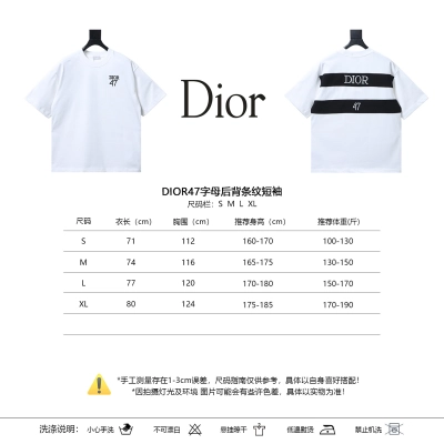 DIOR 47 Letter Back Stripe Short Sleeve T-Shirt 02