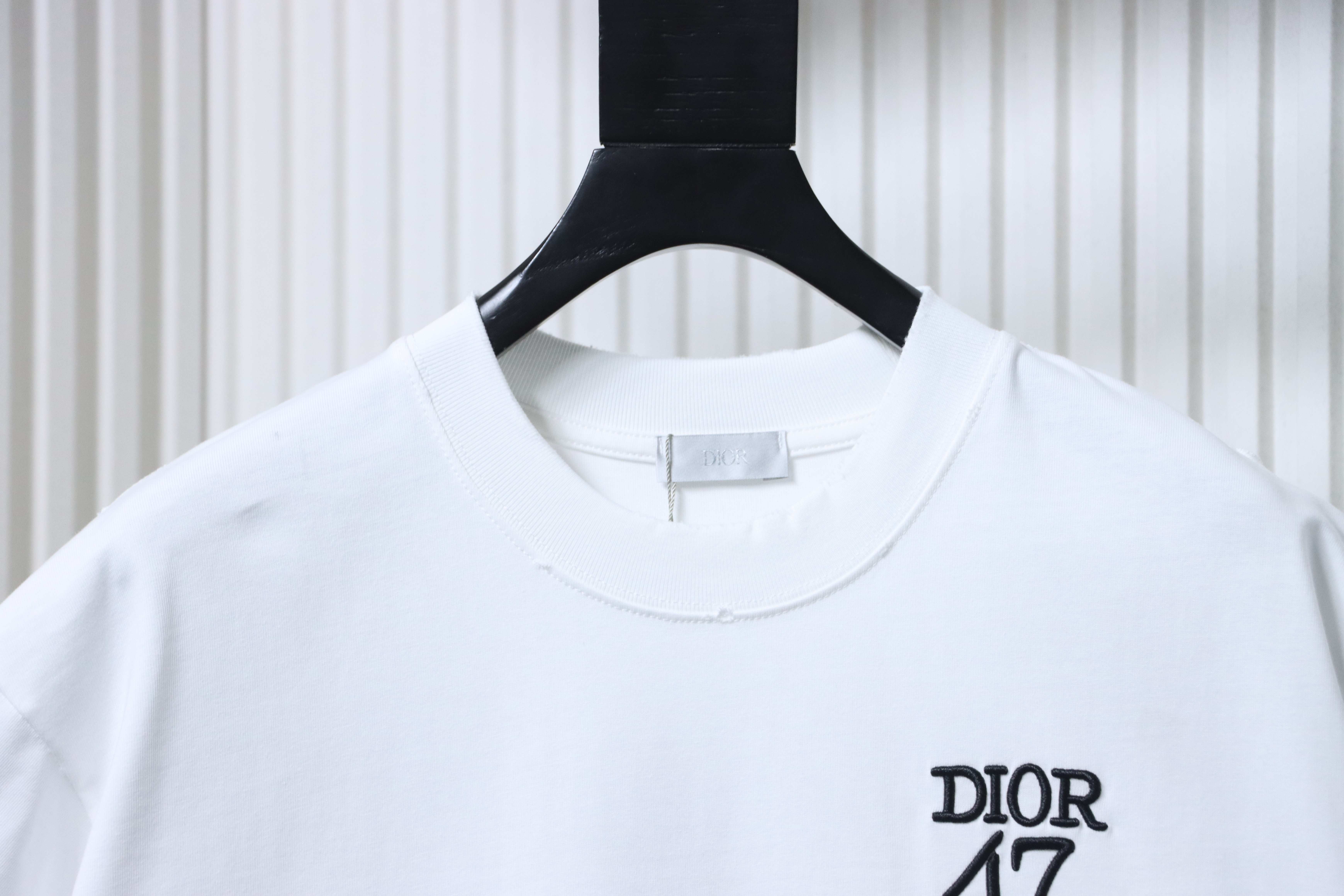 DIOR 47 Letter Back Stripe Short Sleeve T-Shirt
