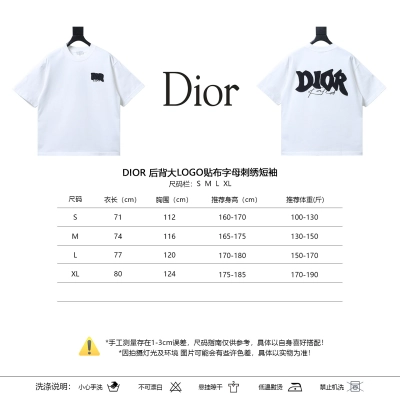 DIOR Back Large Logo Patch Letter Embroidered Short Sleeve T-Shirt 02