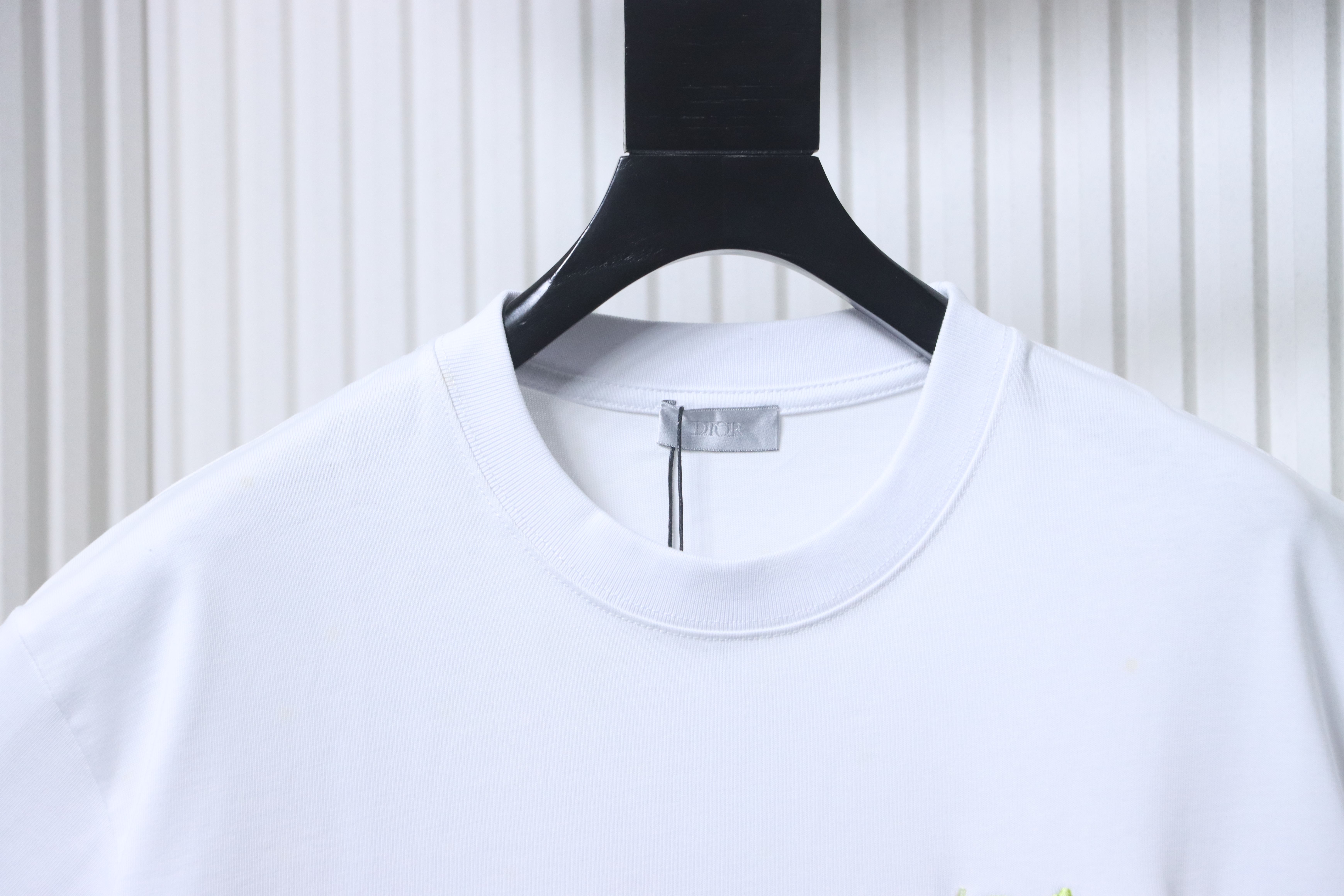 Dior CD 2025 New Year of the Snake Limited Embroidered Letter Short Sleeve T-Shirt