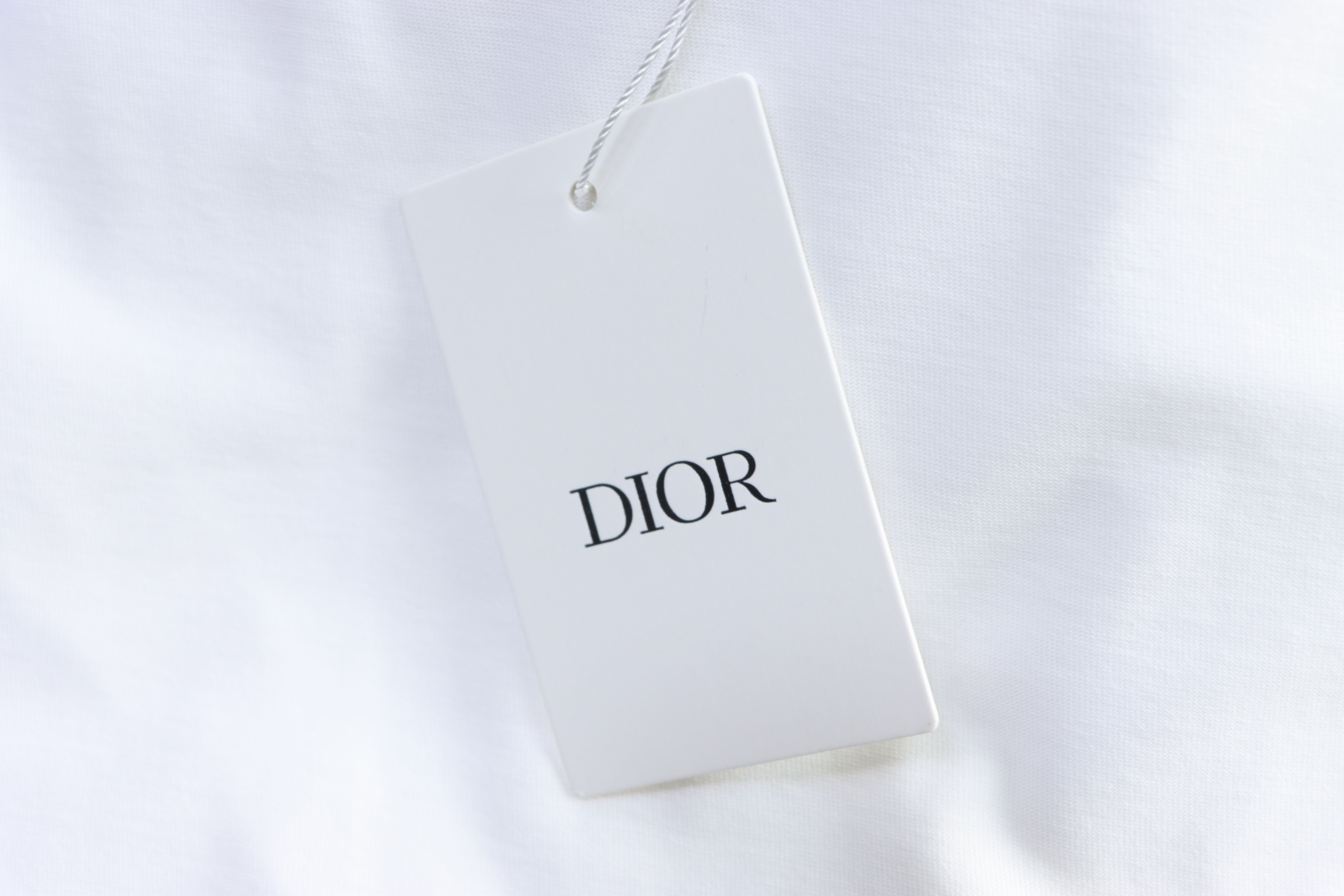 Dior Collar Tag Letter Short Sleeve T-Shirt