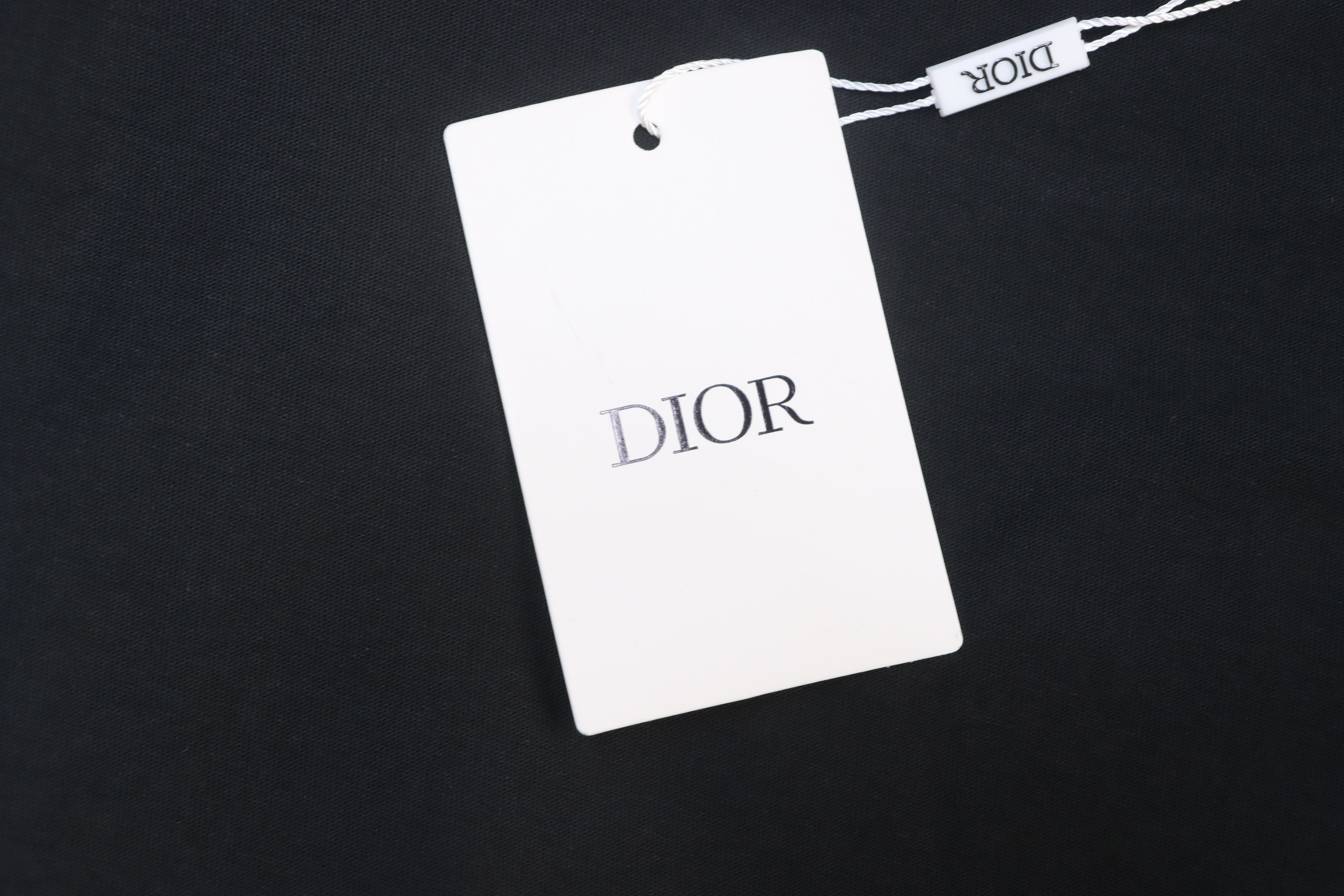 Dior Curved Letter Logo Print Short Sleeve T-Shirt