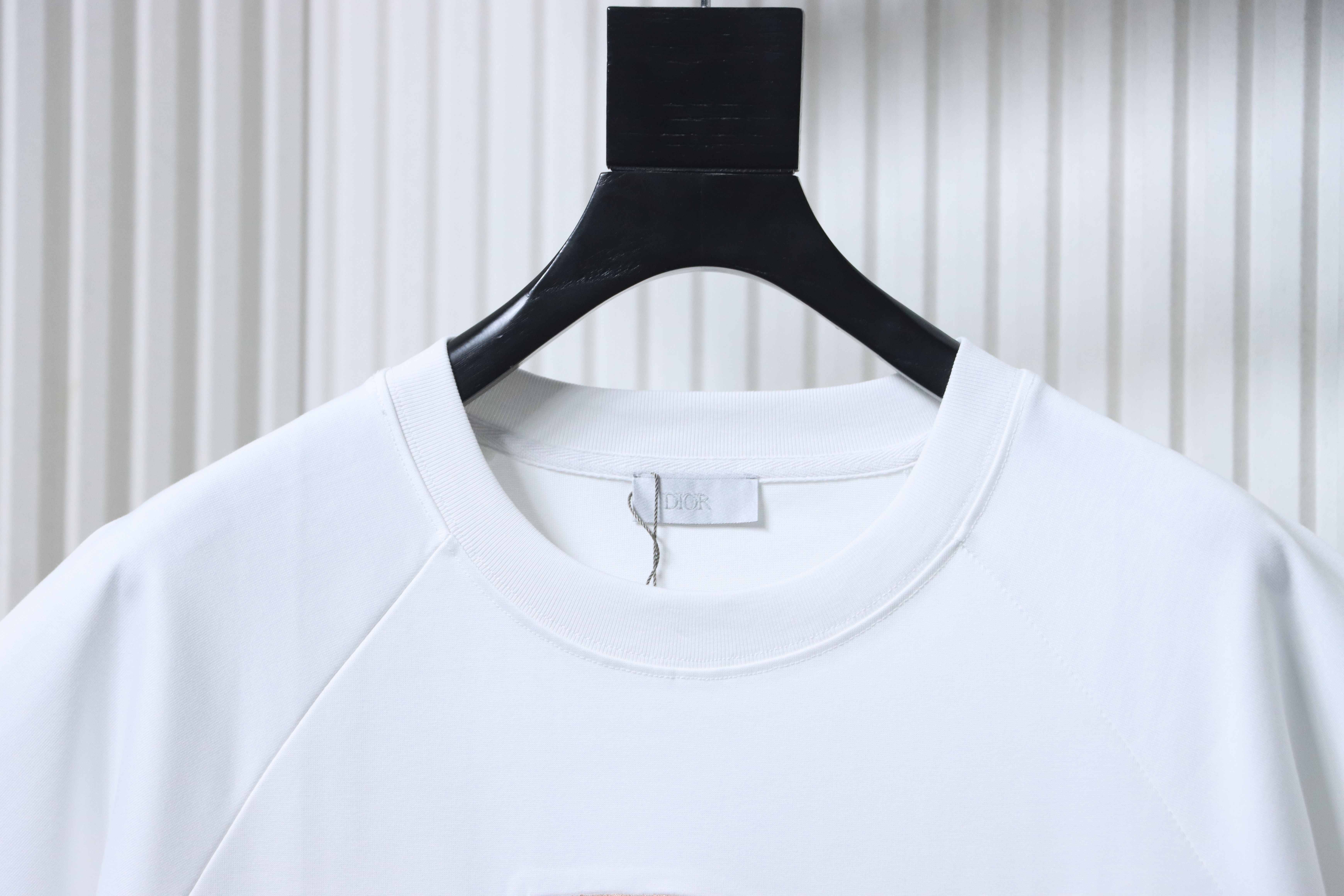 Dior Dior by ERL Collab Embroidered Short Sleeve T-Shirt