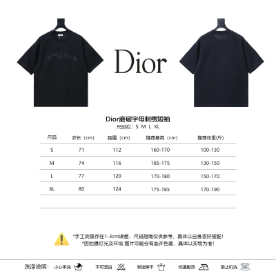 Dior Distressed Letter Embroidered Short Sleeve T-Shirt 02
