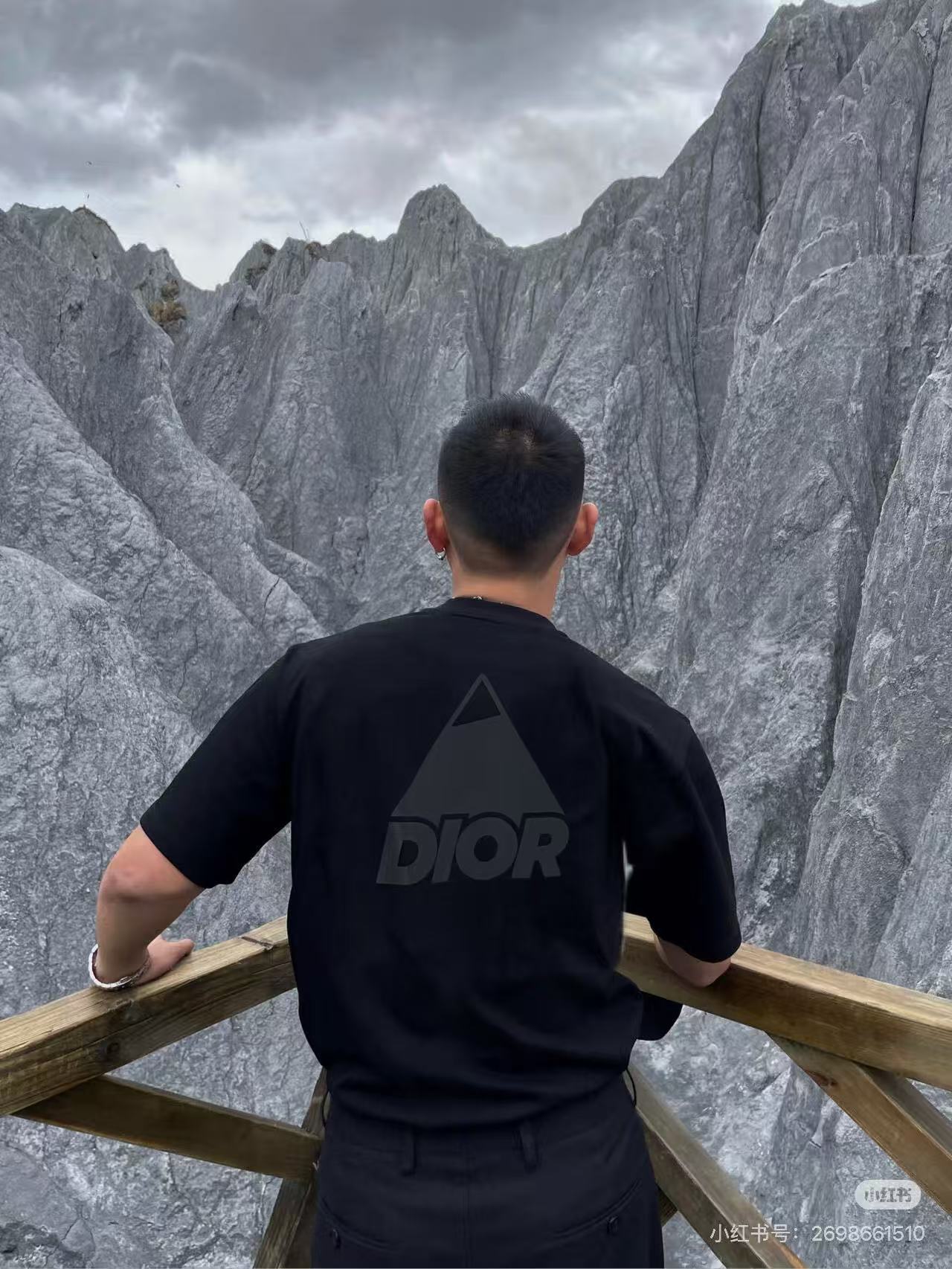 DIOR Reflective Print Triangle Icon Short Sleeve T-Shirt