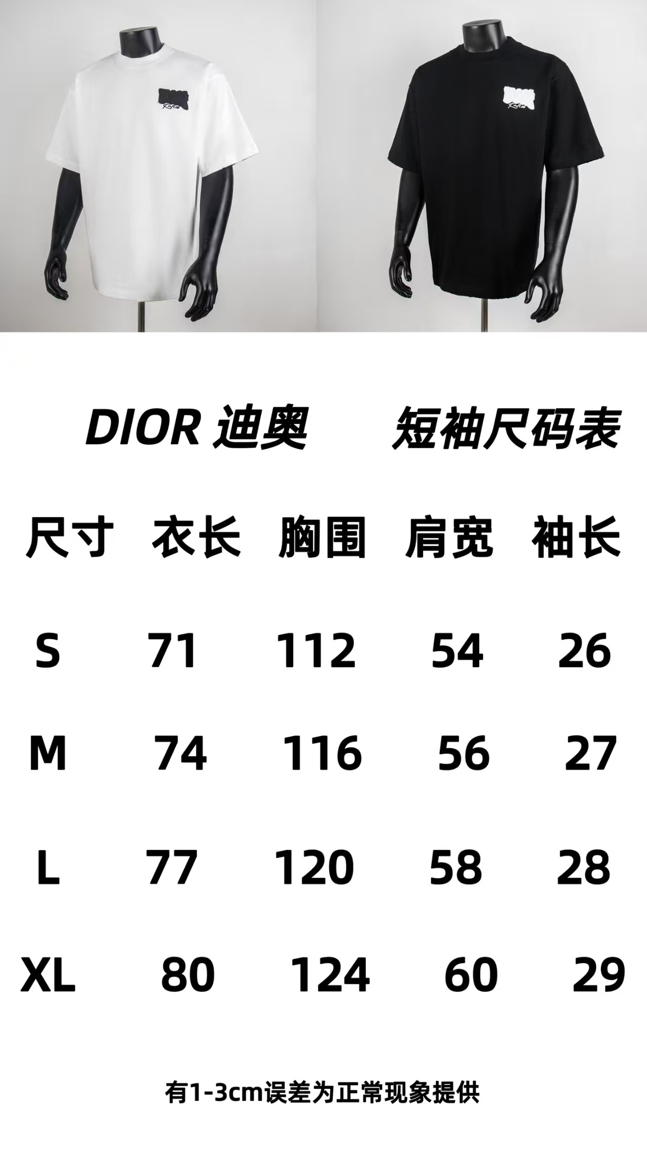 Dior Shirt 9004