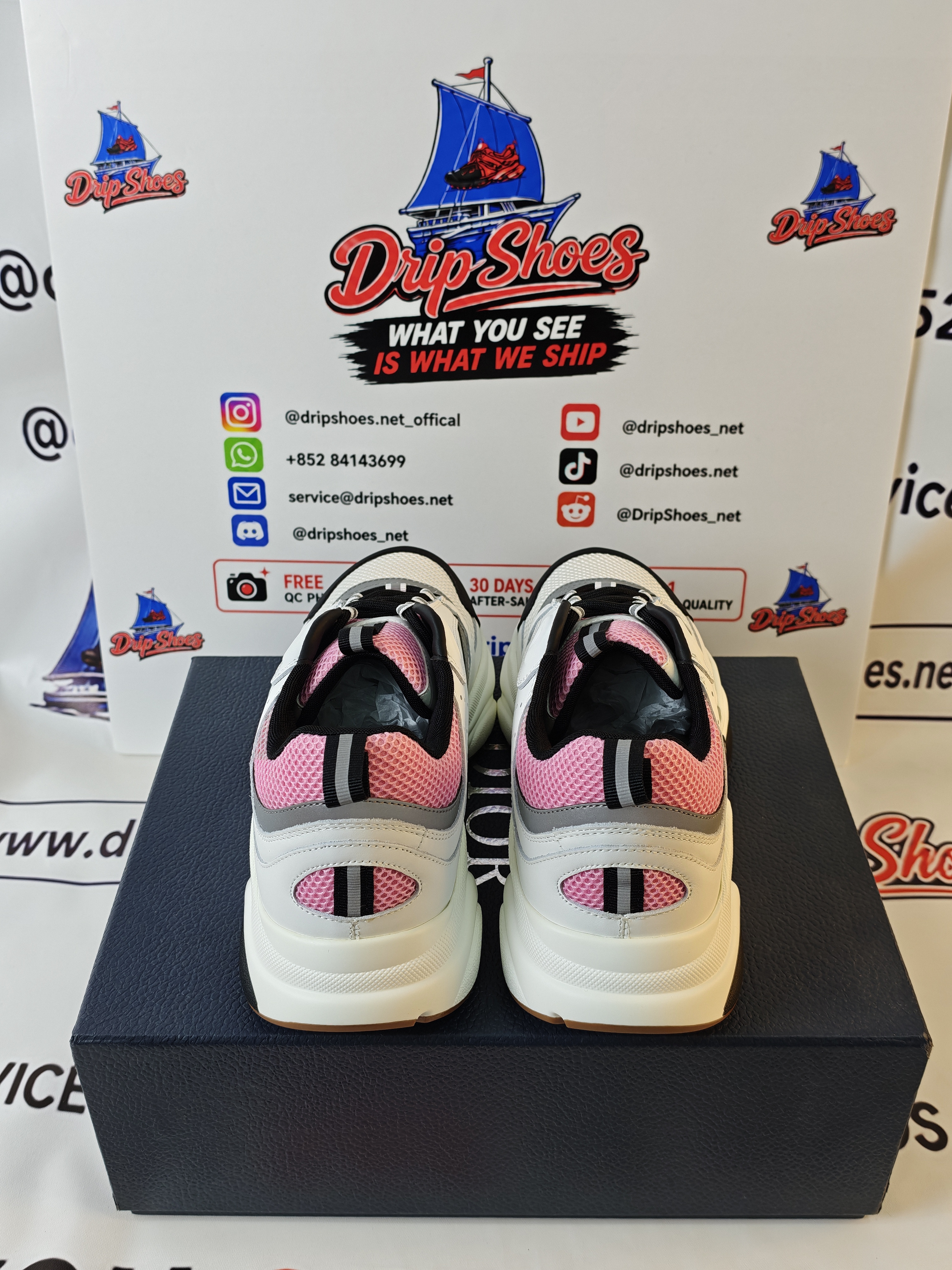 Dior B22 Pink Gray Sneakers Cream