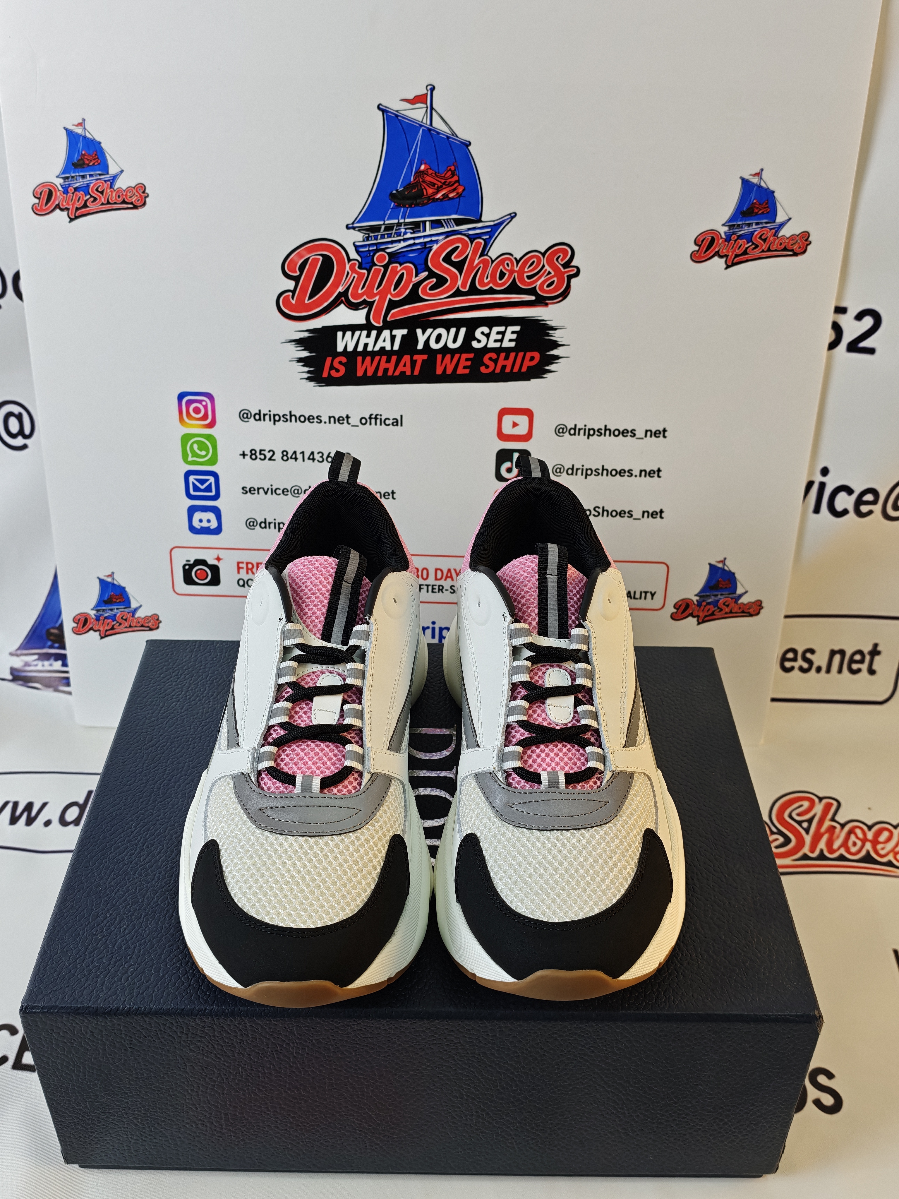 Dior B22 Pink Gray Sneakers Cream