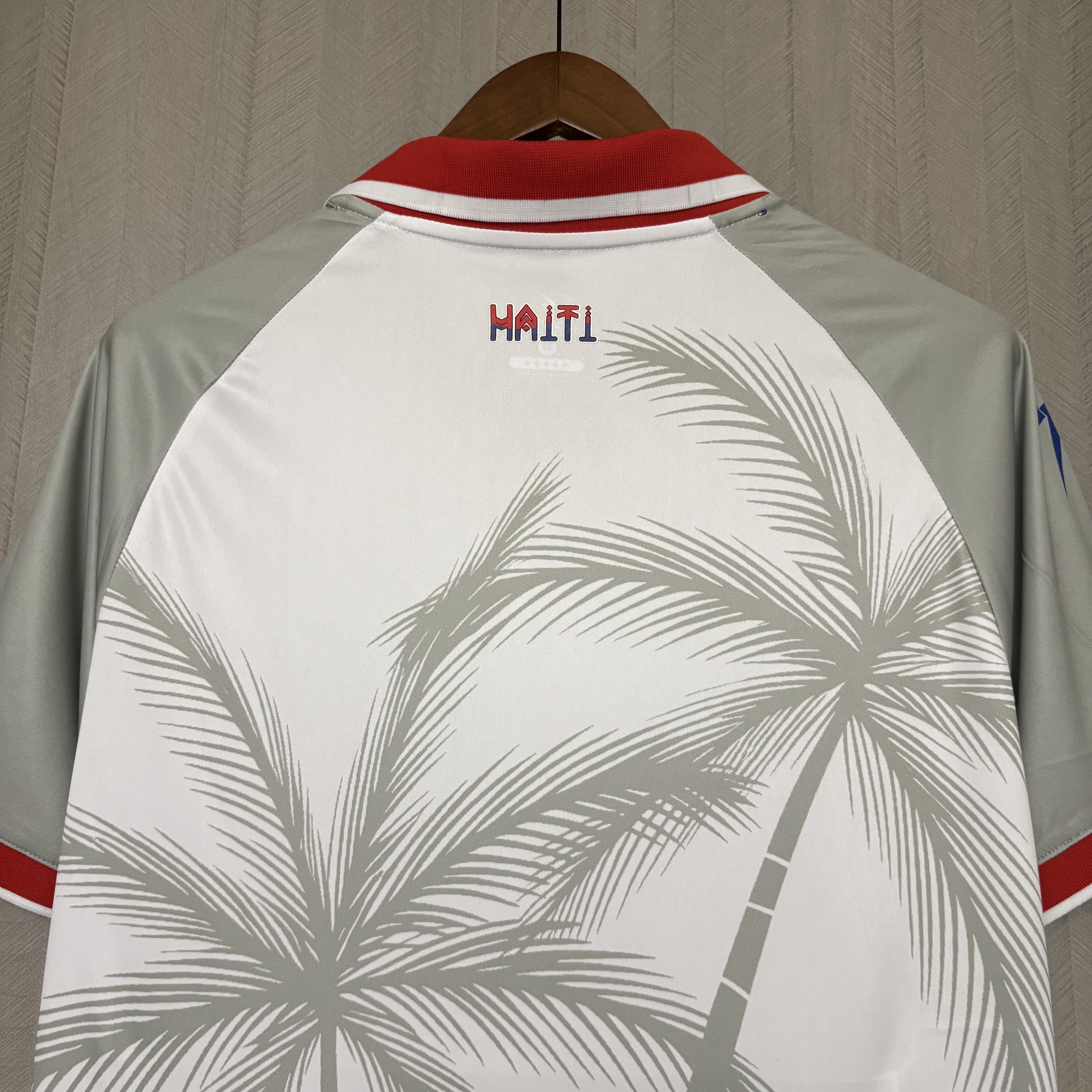 2026 Haiti away Jersey