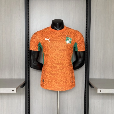 2026 Player Version Ivory Coast Jersey 01