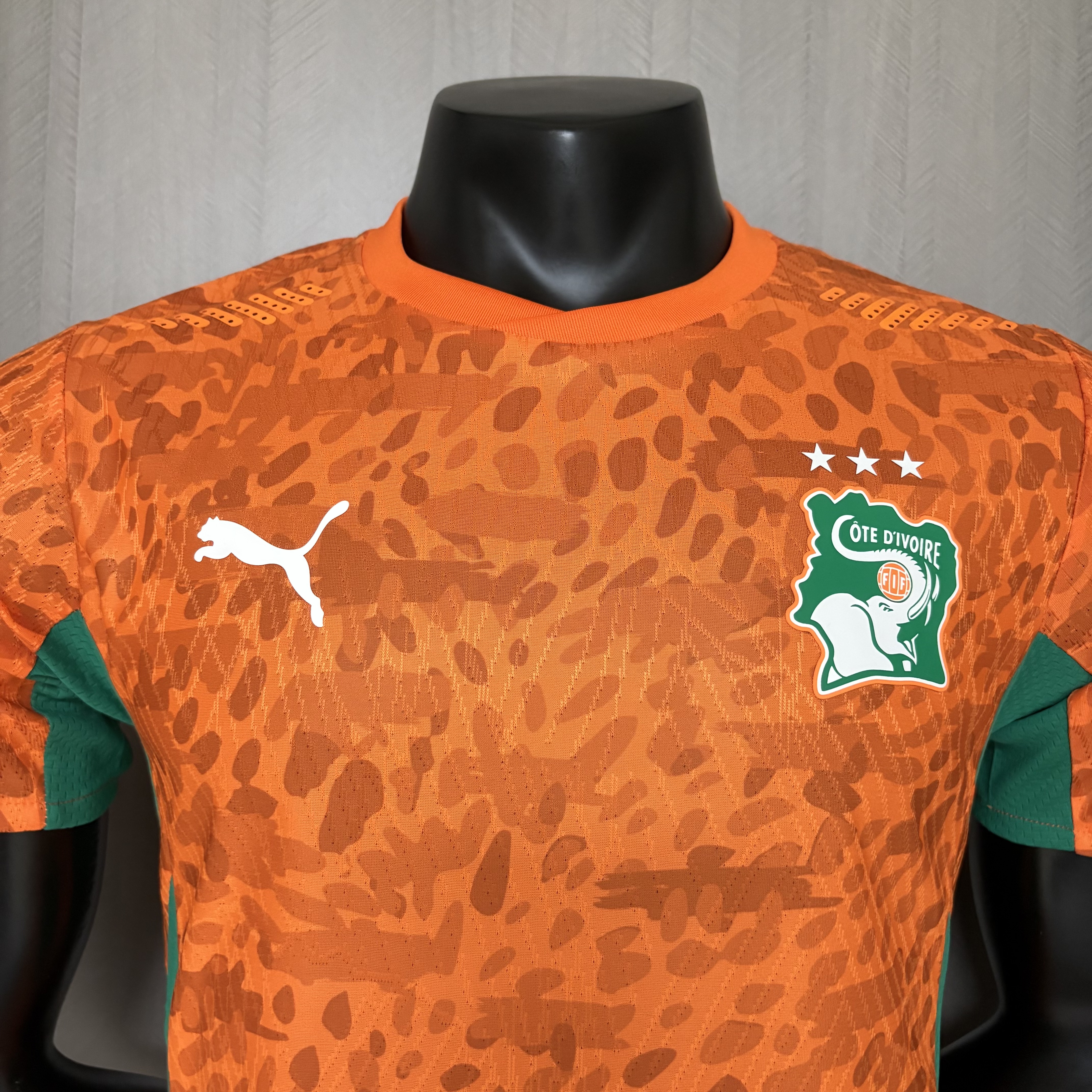2026 Player Version Ivory Coast Jersey