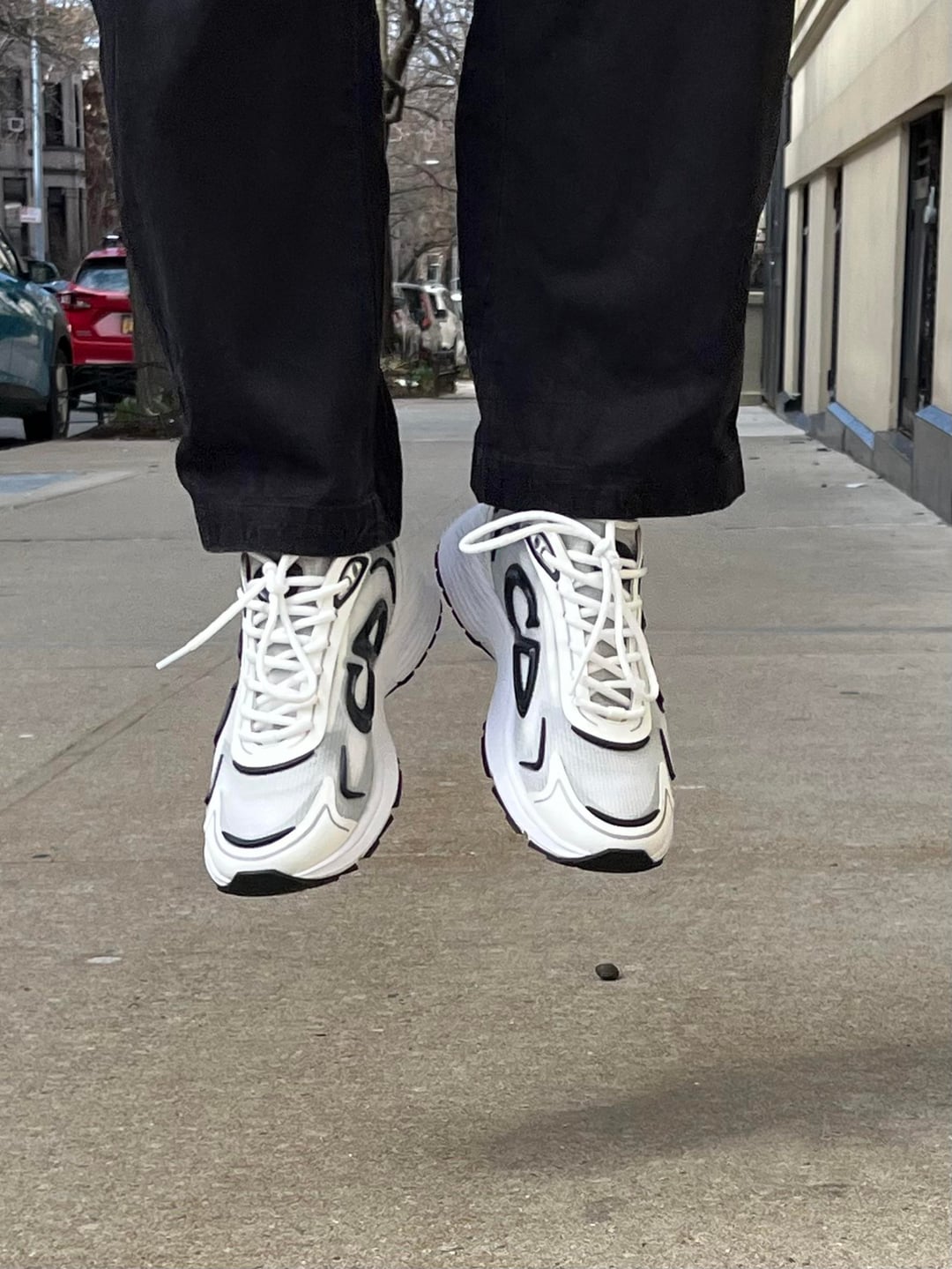 Dior B30 Sneakers White review Brown 01