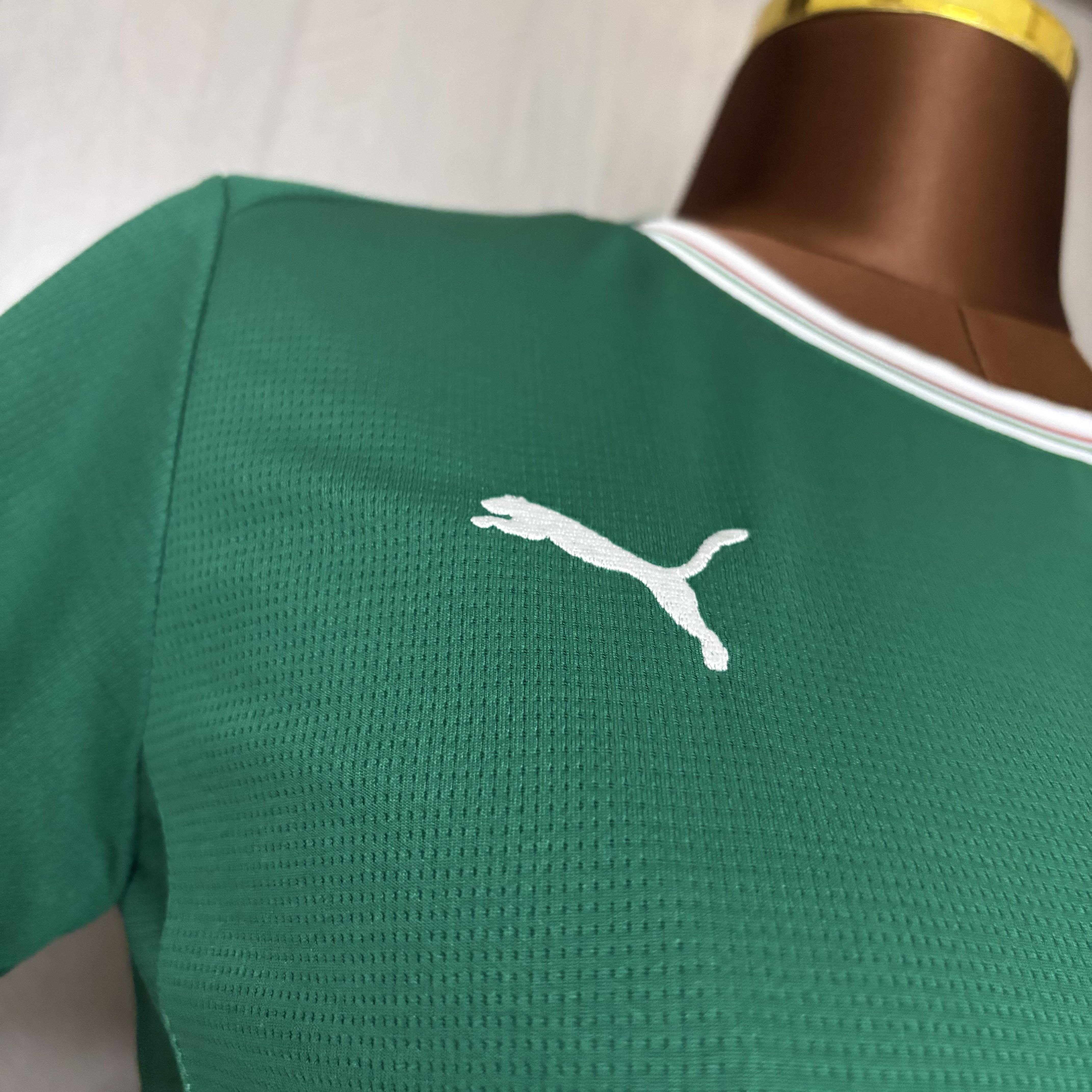 2026/2027 Camisa Palmeiras  camiseta 1 Feminina