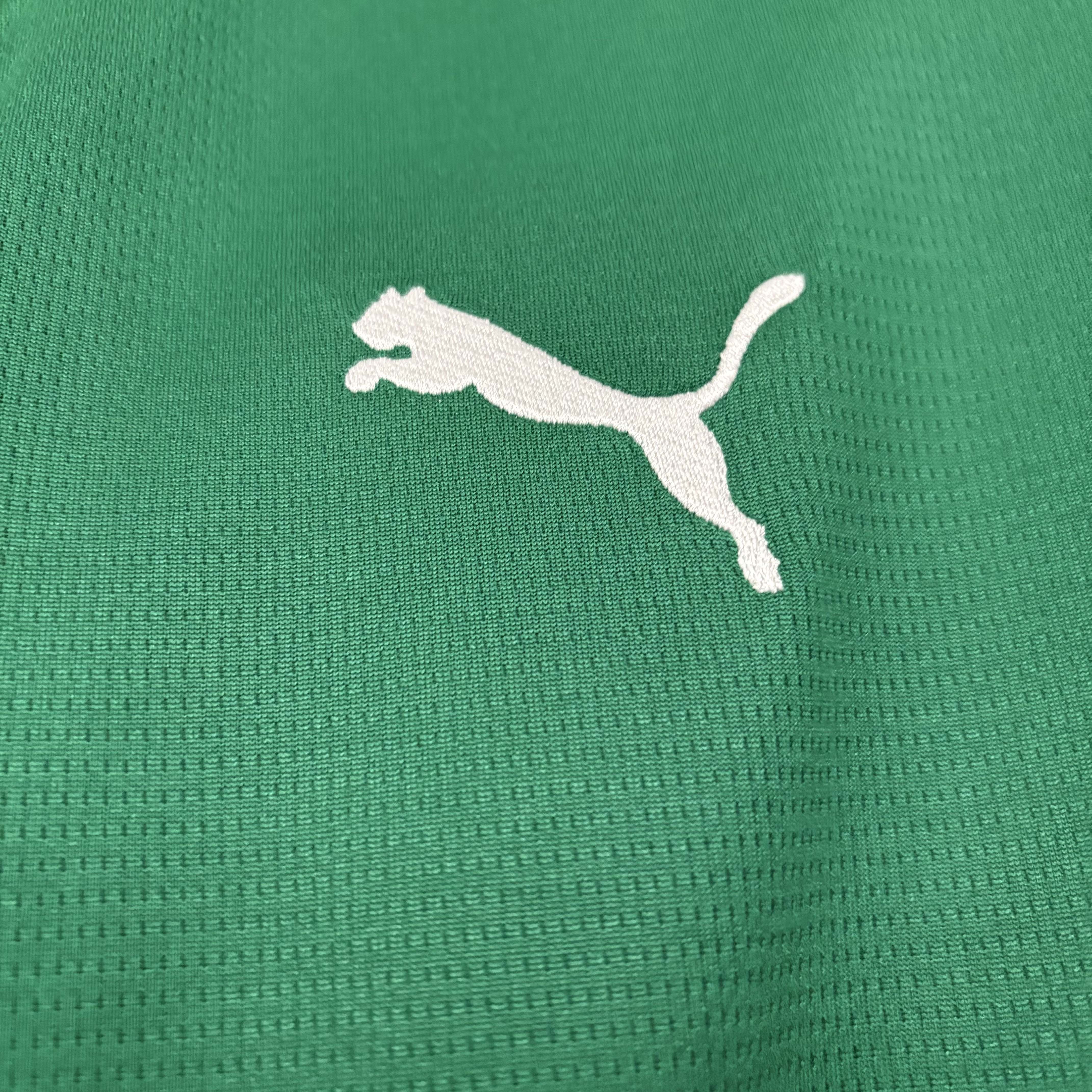 2026/2027 Camisa Palmeiras camiseta 1 Torcedor