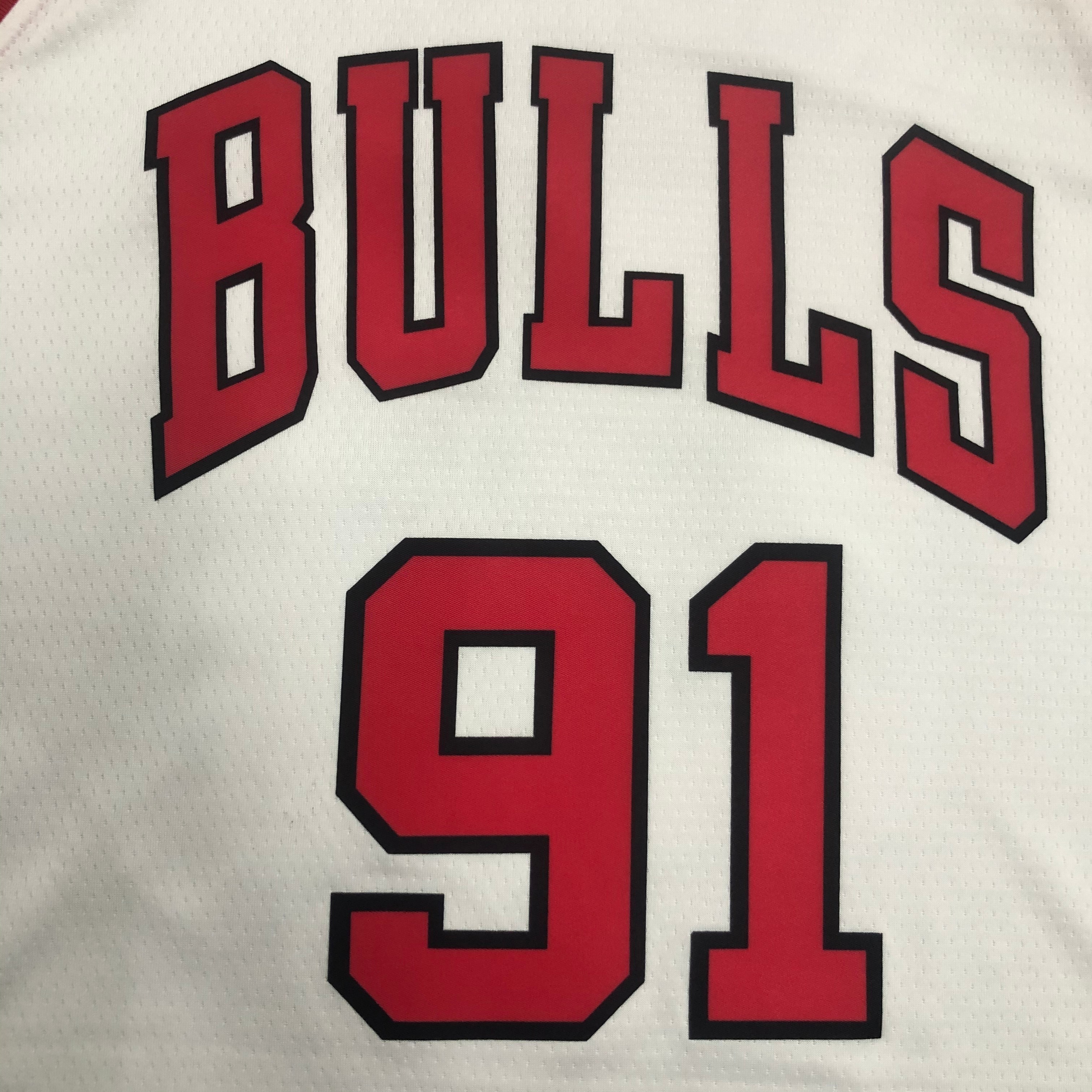 2023 Chicago Bulls Camiseta Dennis Rodman nº 91