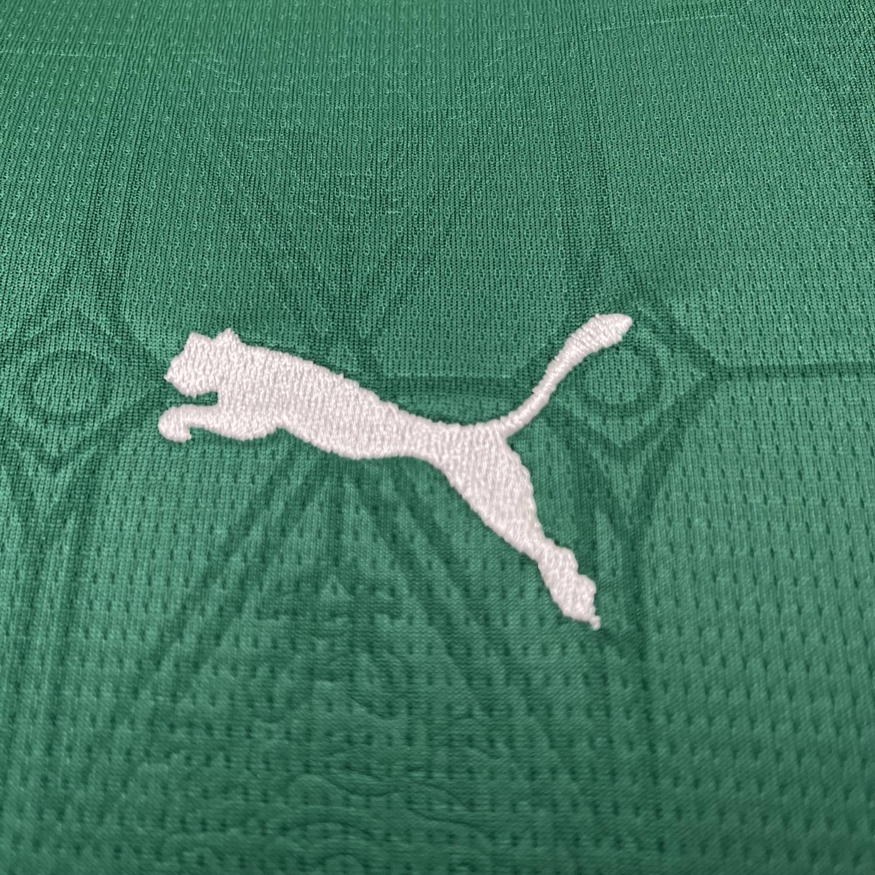 2025/2026 Camisa Palmeiras Camiseta 1 Infantil