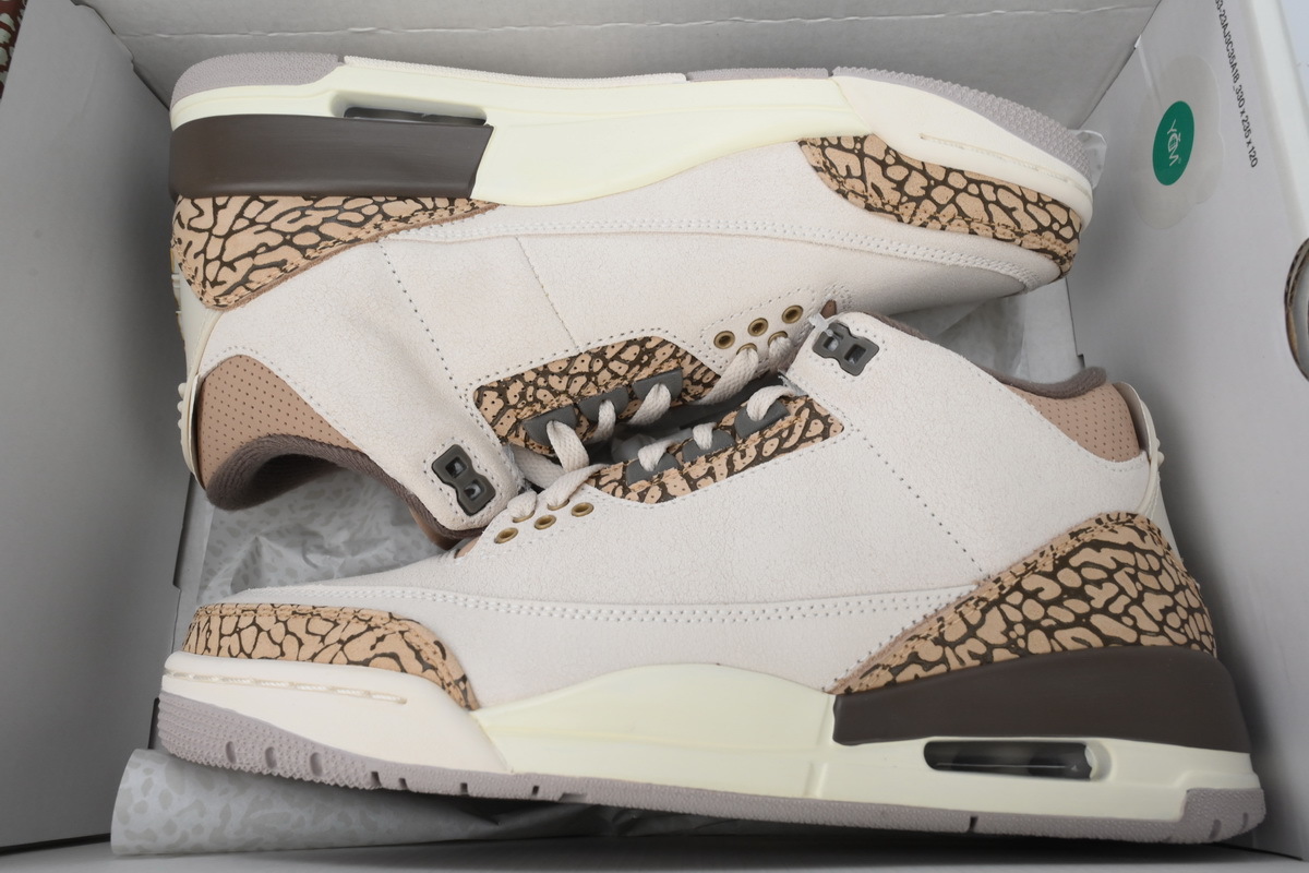 Air Jordan 3 Retro 'Palomino' CT8532-102