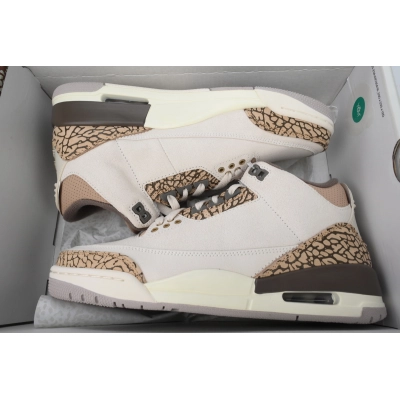 Air Jordan 3 Retro 'Palomino' CT8532-102 02