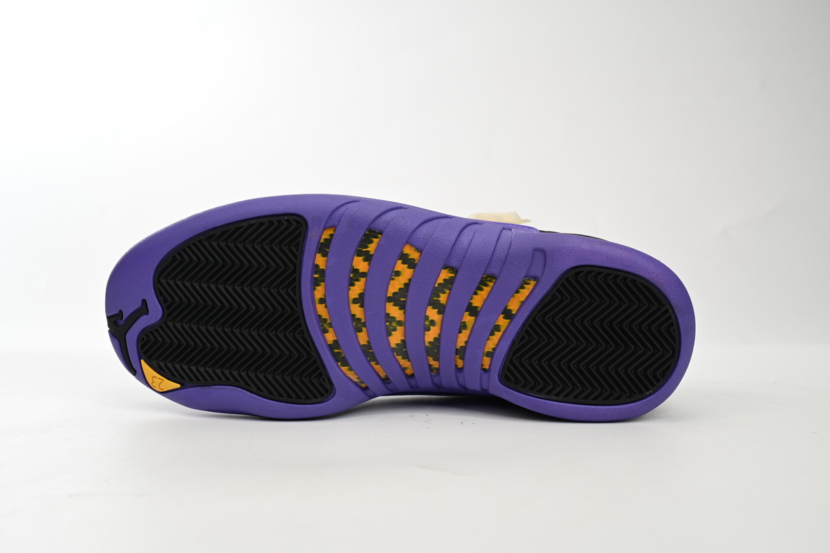 Air Jordan 12 “Field Purple” CT8013-057