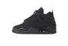 Air Jordan 4 Black Cat FV5029-010