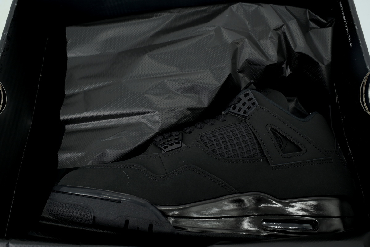 Air Jordan 4 Black Cat FV5029-010
