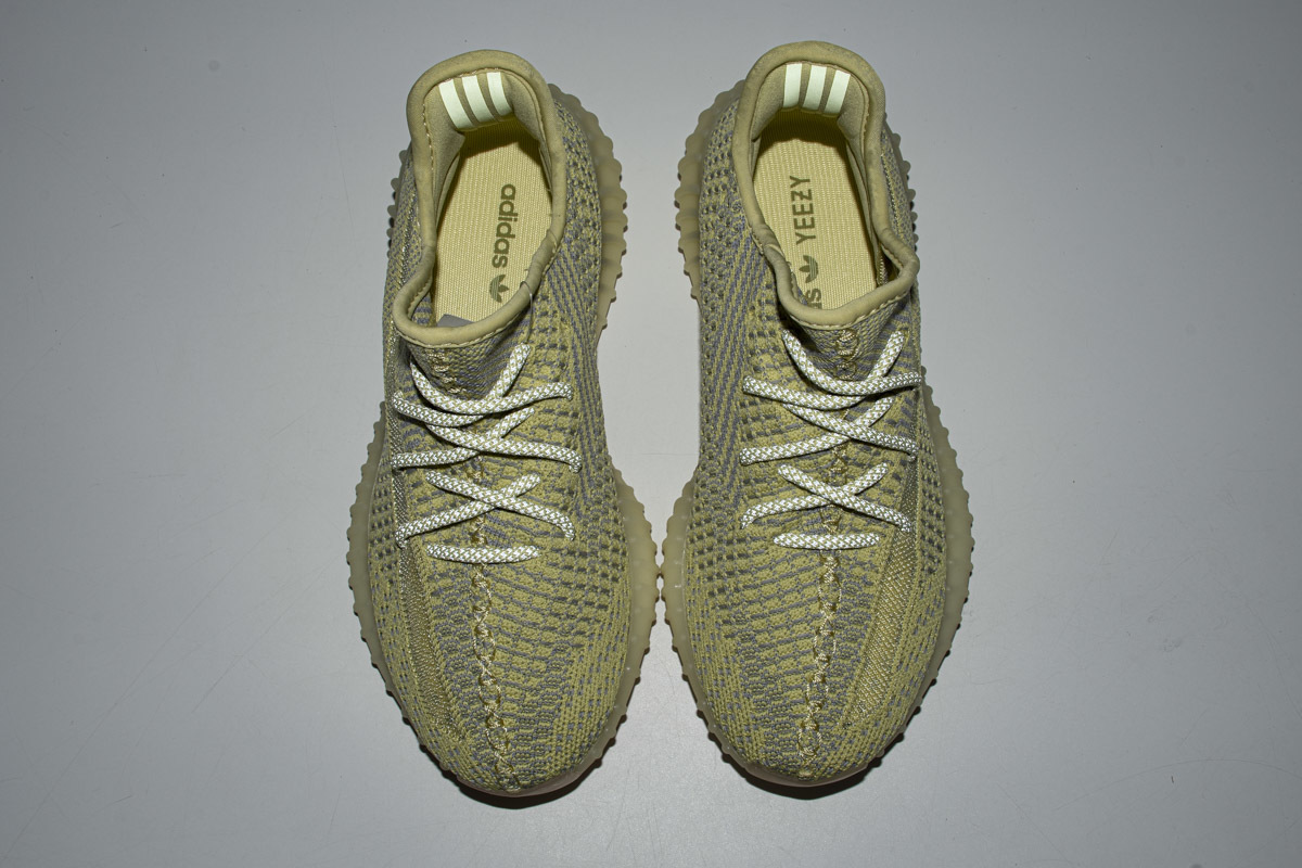 Adidas Yeezy 350 Boost V2 "Antlia" FV3250