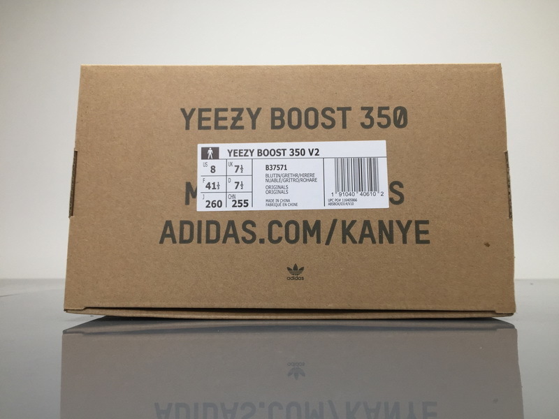Adidas Yeezy Boost 350 V2 "Blue Tint” B37571