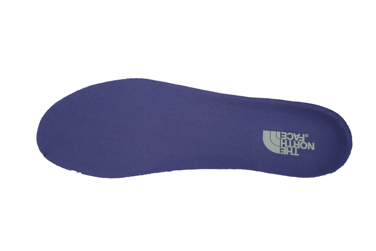 THE NORTH FACE NEVER STOP Grey Purple NF0A8A93-5II
