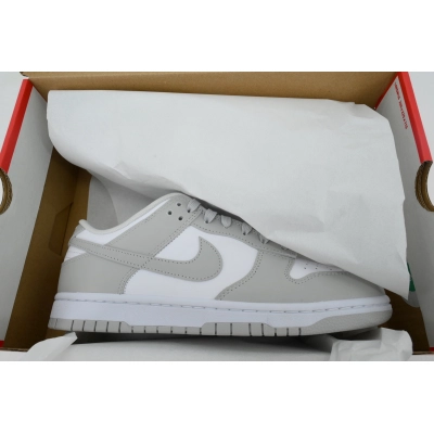 Nike Dunk Low 'Grey Fog' DD1391-103 02