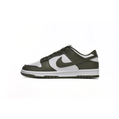 Nike Dunk Low Medium Olive DD1503-120 01
