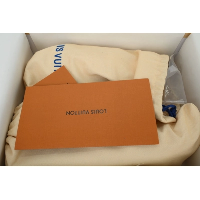 Louis Vuitton Tilted Brown 02