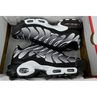 Air Max Plus 'Black Metallic Silver' DM0032-003 02