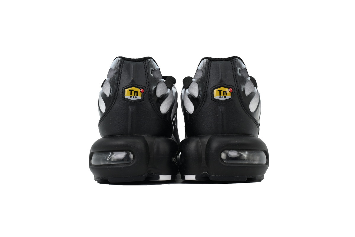 Air Max Plus 'Black Metallic Silver' DM0032-003