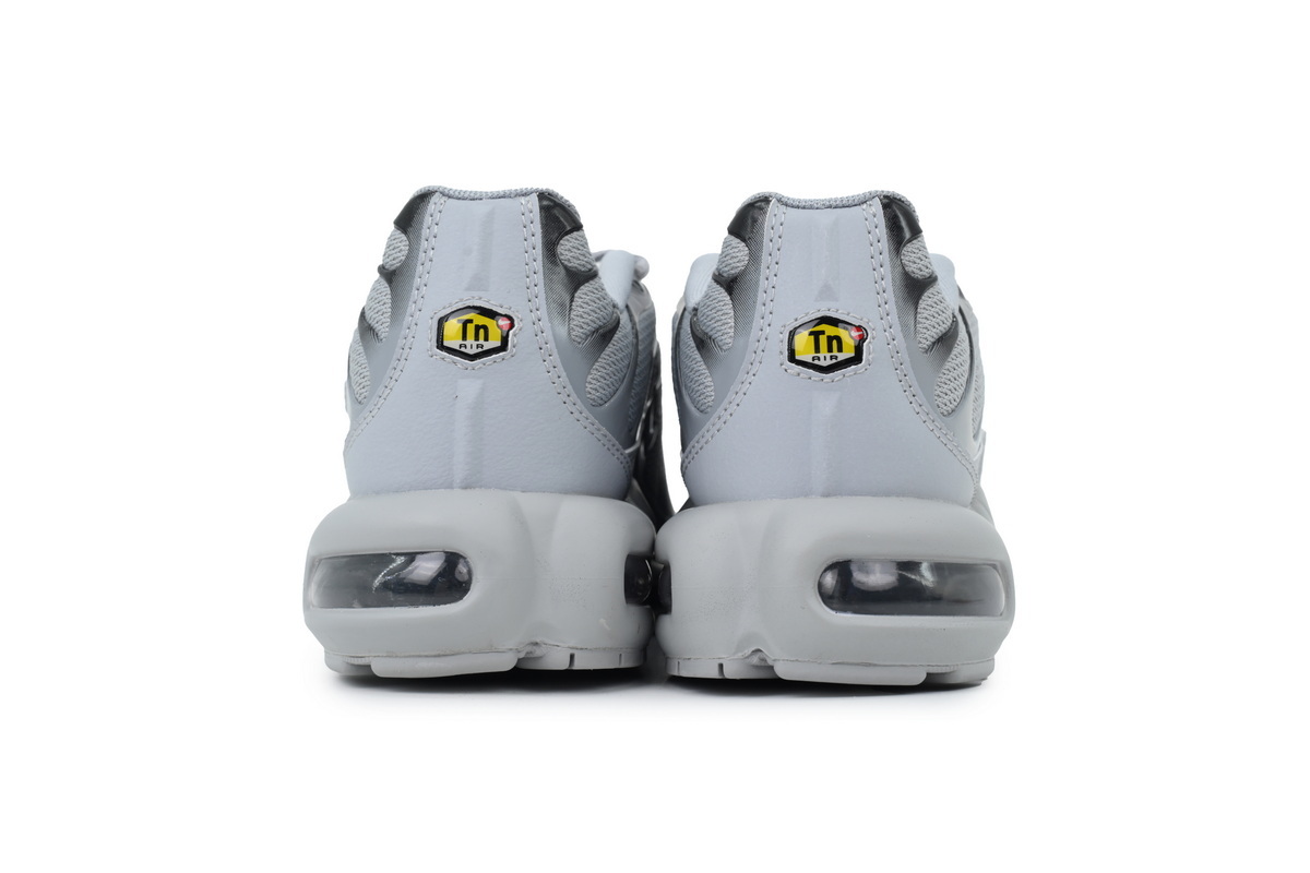 Air Max Plus TN 'Wolf Grey' 852630-021