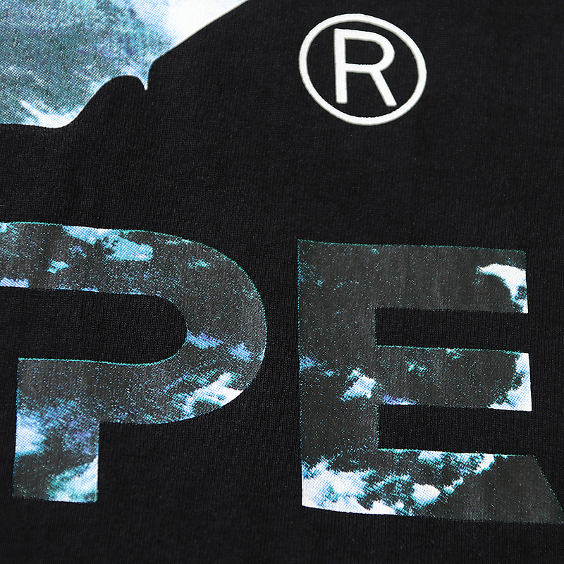BAPE Ape Head T-Shirt H110 1006