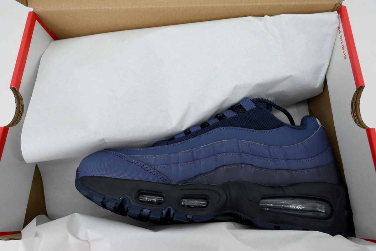 Nike Air Max 95 OG 'Sanded Purple' IB1667-500