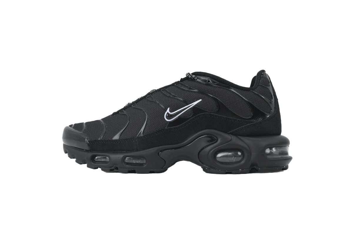 Nike Air Max Plus 'Unity' DZ4509-001
