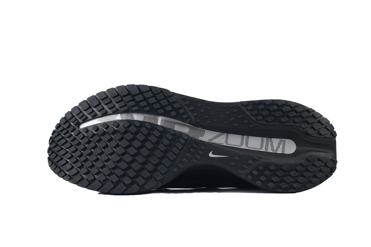 Nike Air Zoom Pegasus Premium Black Metallic Silver HQ2592-005