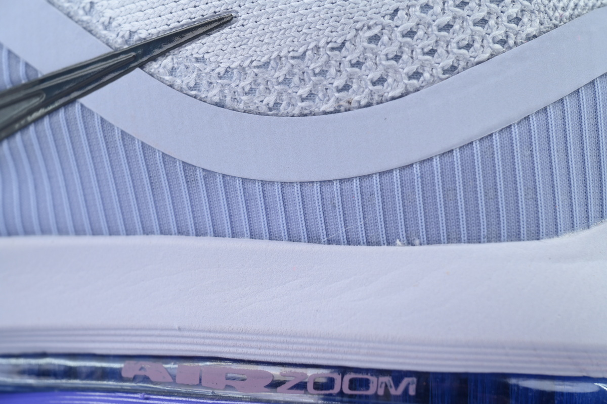 Nike Air Zoom Pegasus Premium Persian Violet HQ2592-004