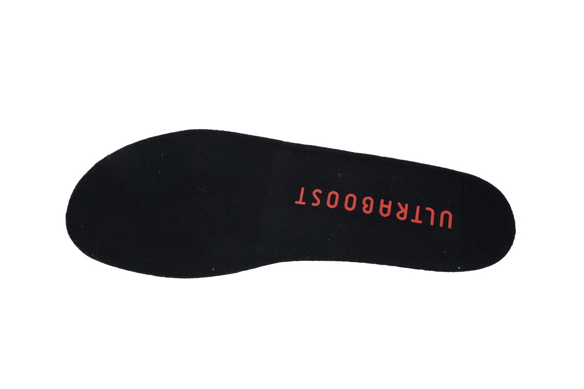 Adidas Ultra Boost 5 TR Black JI1388
