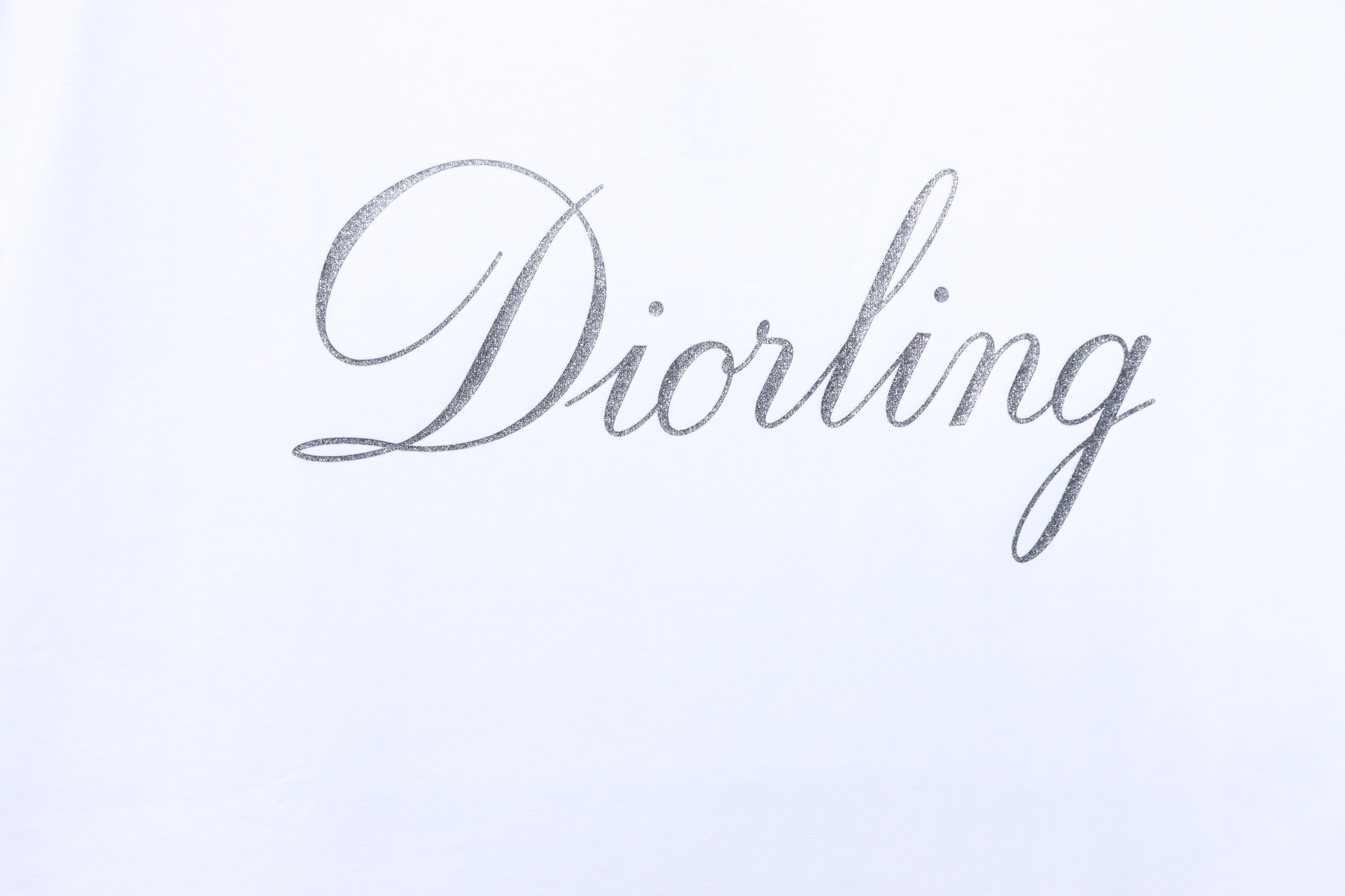 Dior 26SS Signature Letter Print T-Shirt White H150