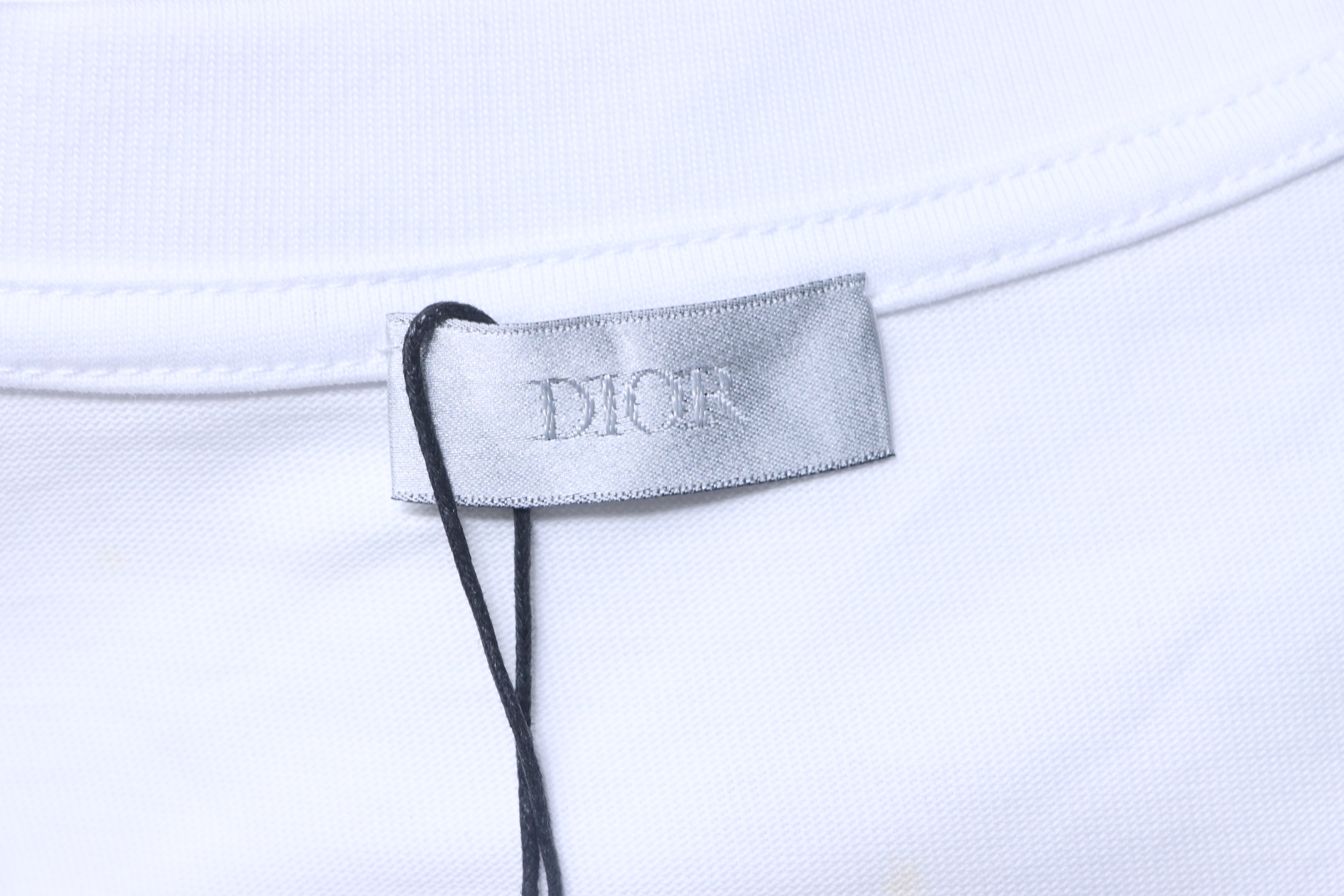 Dior CD 2025 Snake Year Limited Embroidered Letters T-Shirt White H140