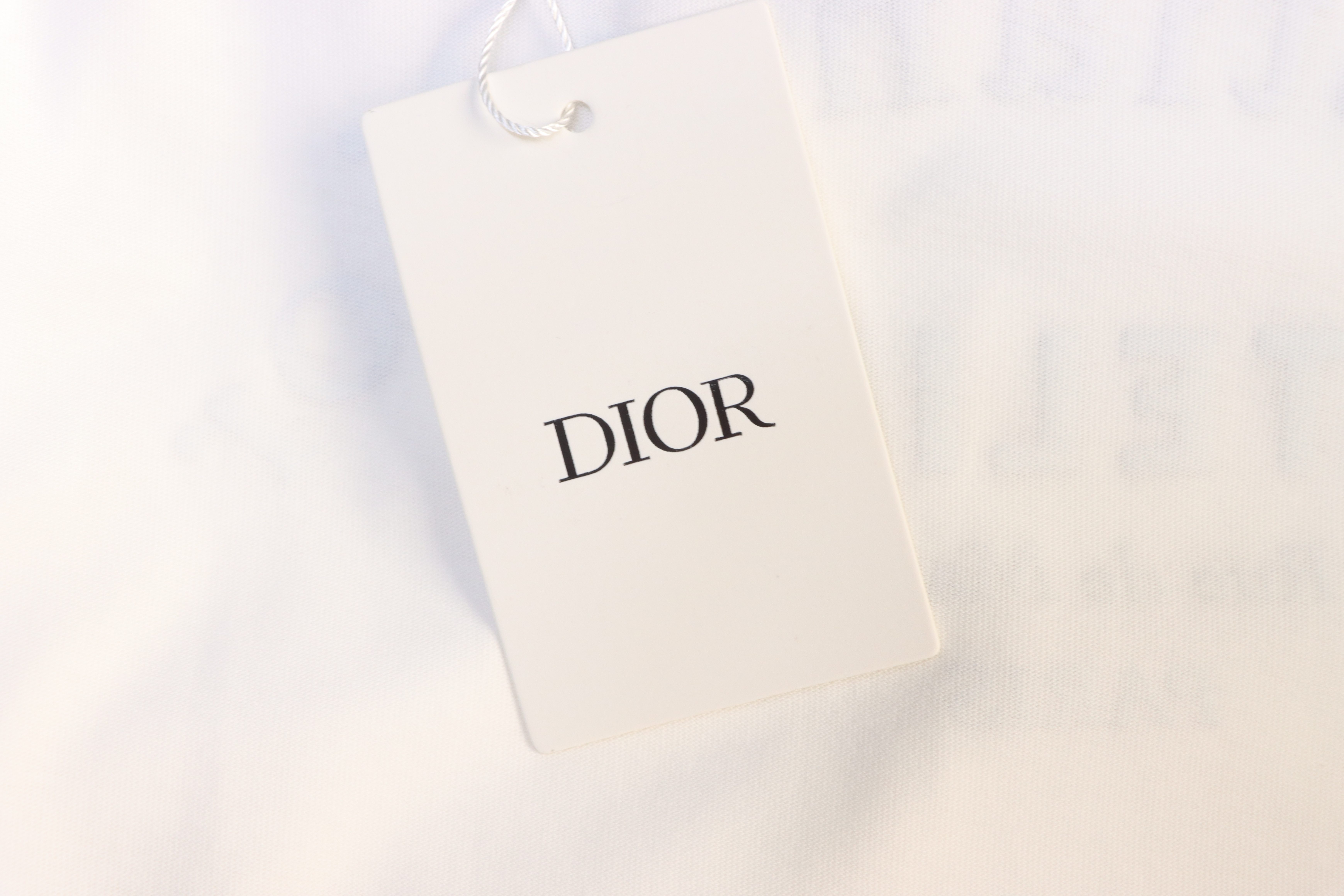 Dior Curved Letter Logo Print T-Shirt White H130