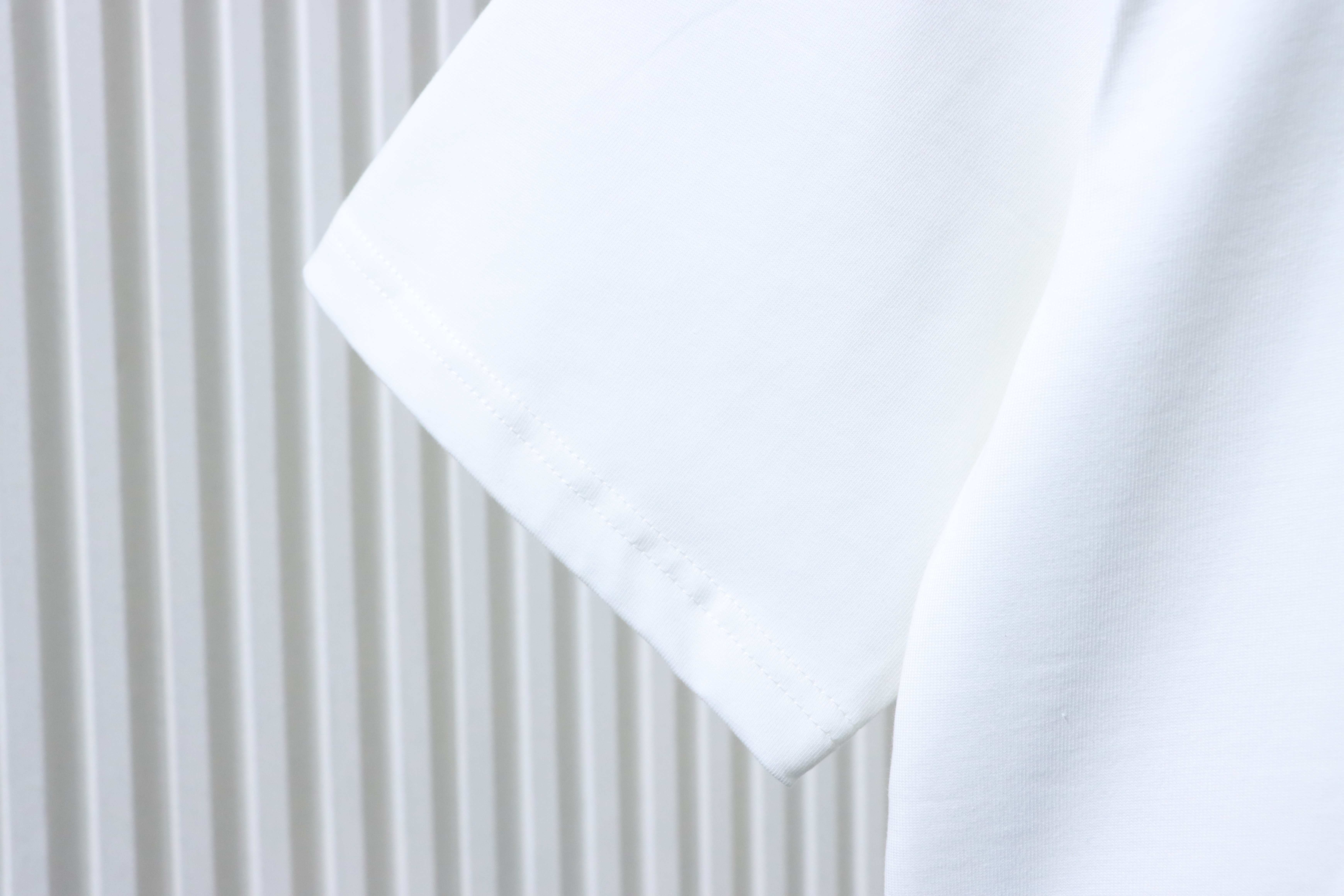 Dior Front Metal Logo T-Shirt White H140