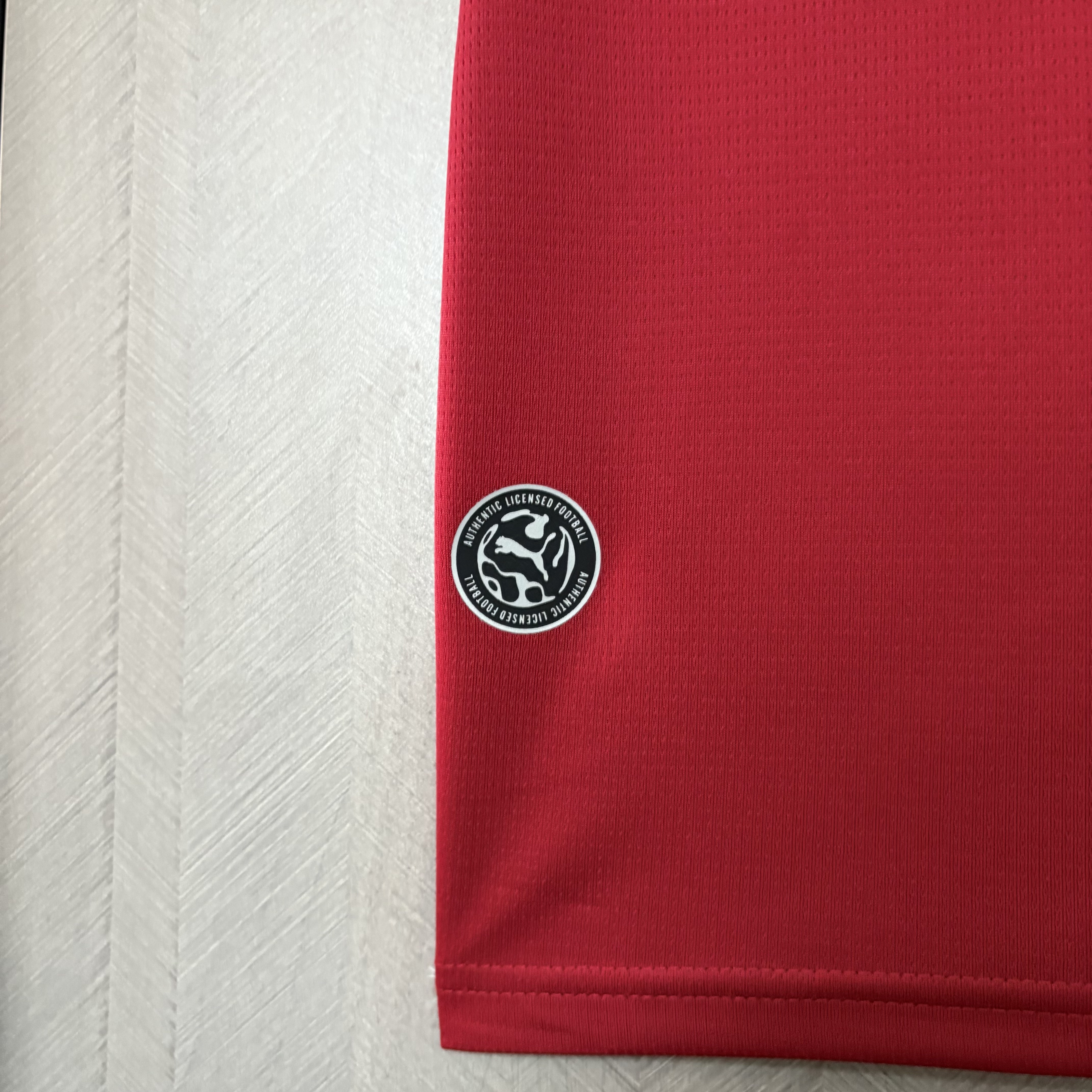 Czech Republic 2026 Fan Home Jersey