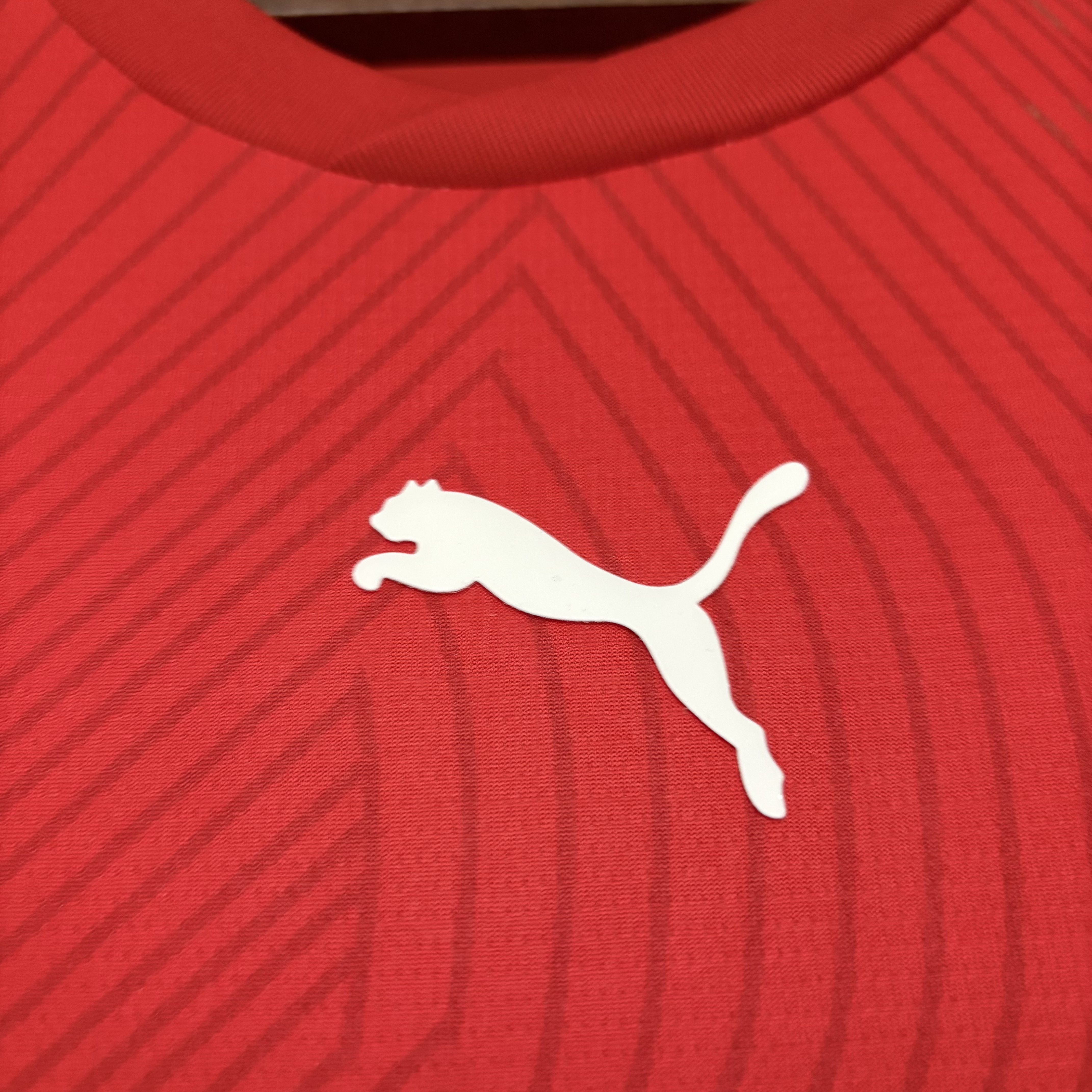 Switzerland 2026 Fan Home Jersey