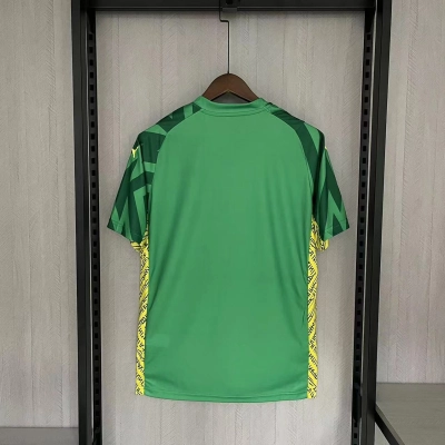 Manchester City 23/24 Goalkeeper Short Sleeve Green Jersey 02