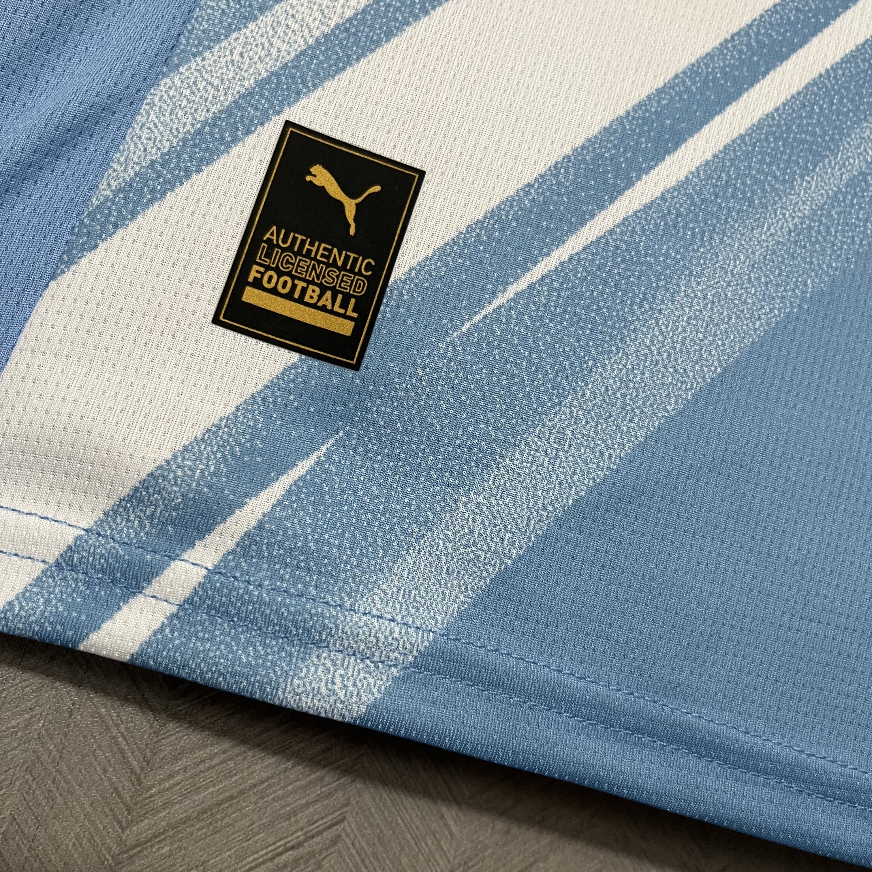 Manchester City 24/25 Fan Short Sleeve Home Jersey