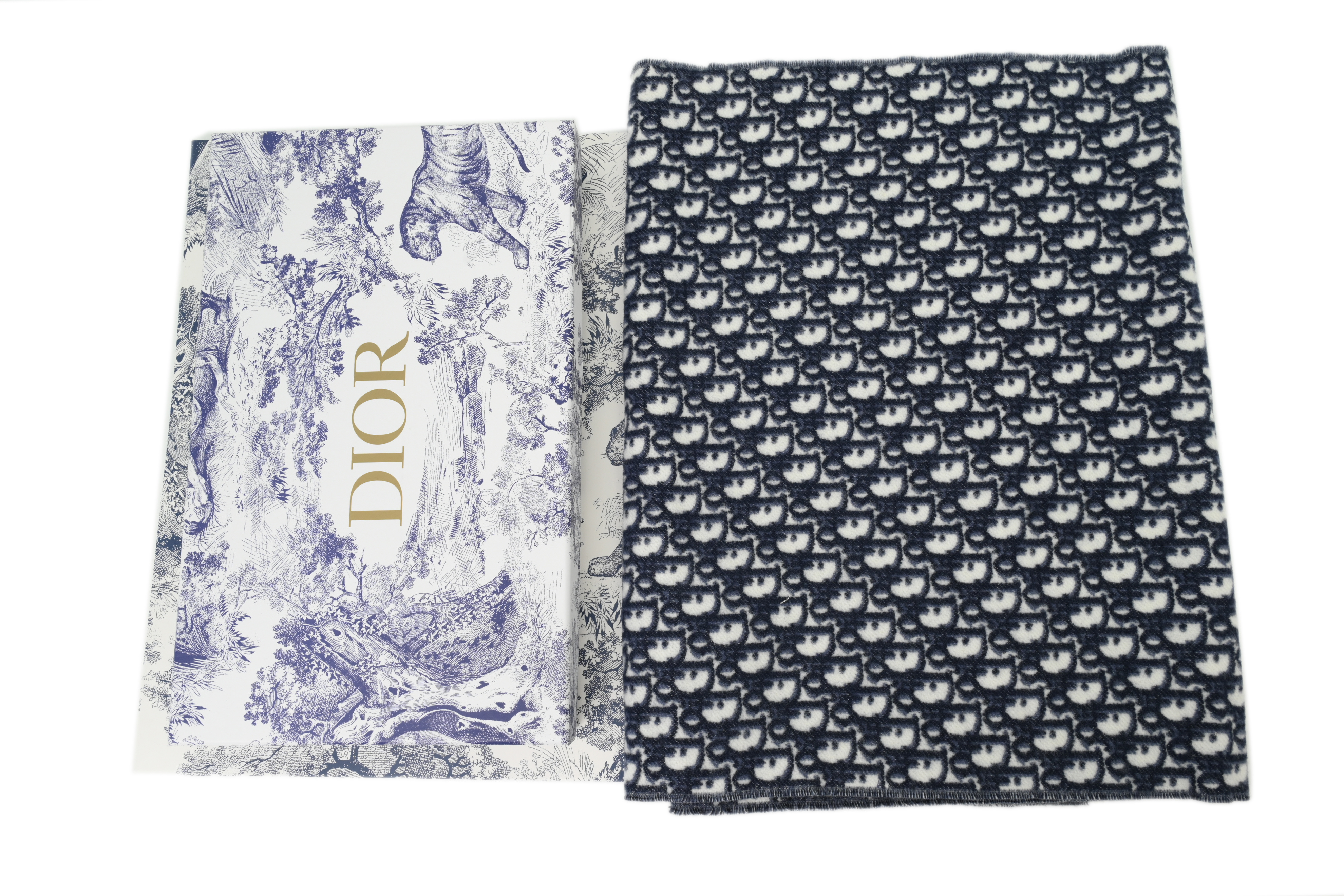 Dior Logo Fringe Scarf - Blue