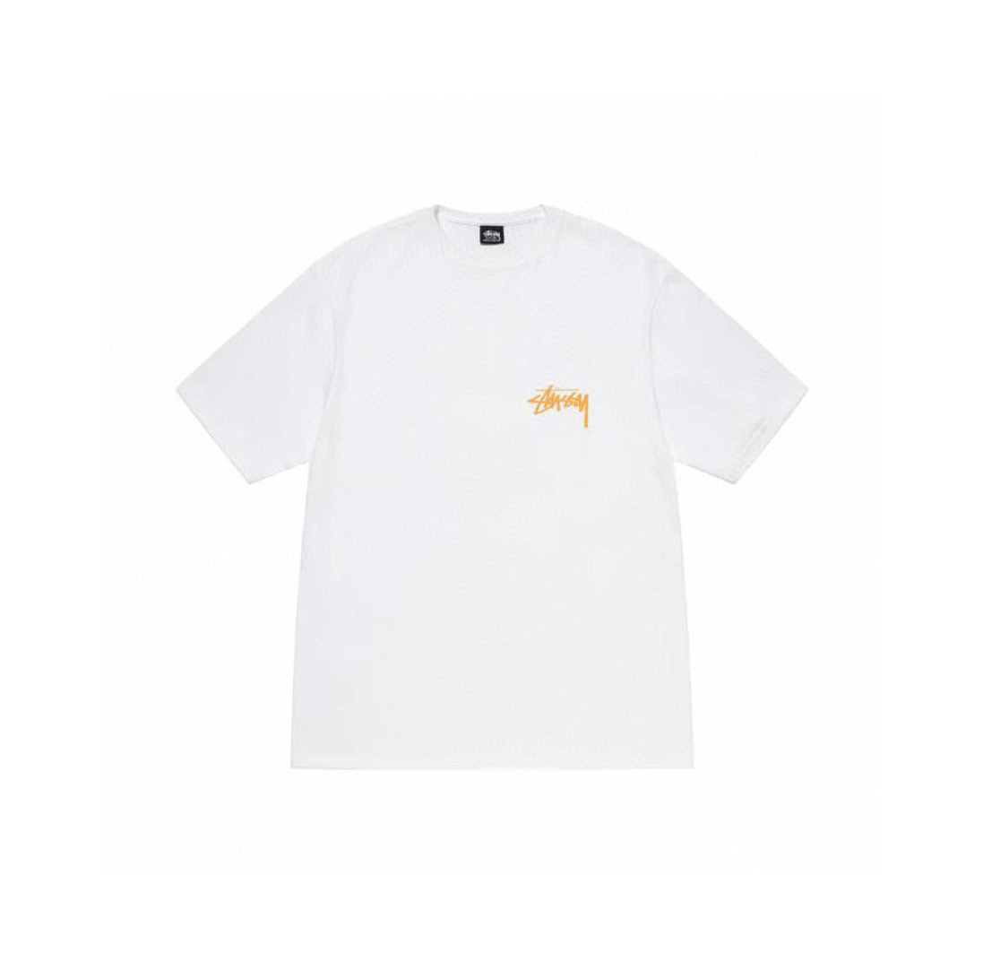 Stussy Circular Landscape Photo T-Shirt